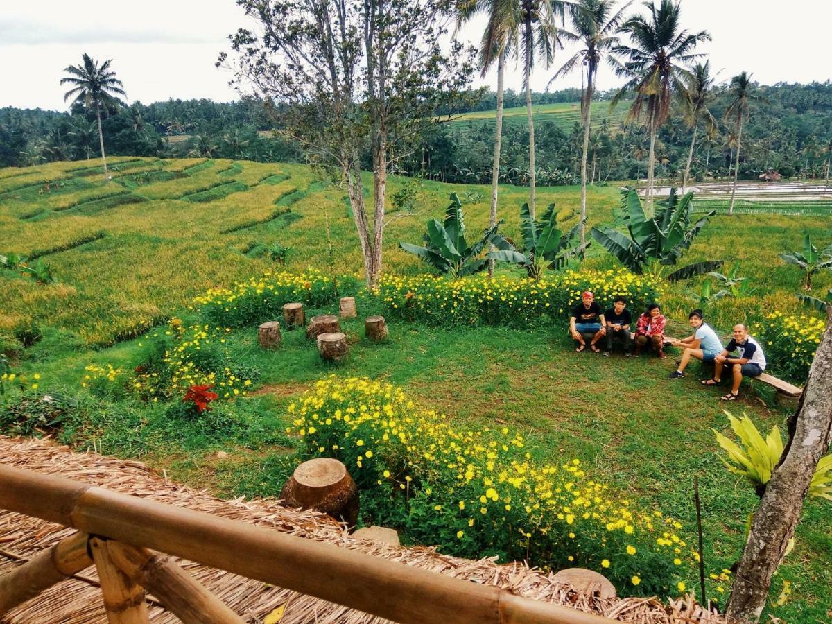 Agus Hidden Homestay - Banjar Sweet Village Banyuwangi  Eksteriør billede